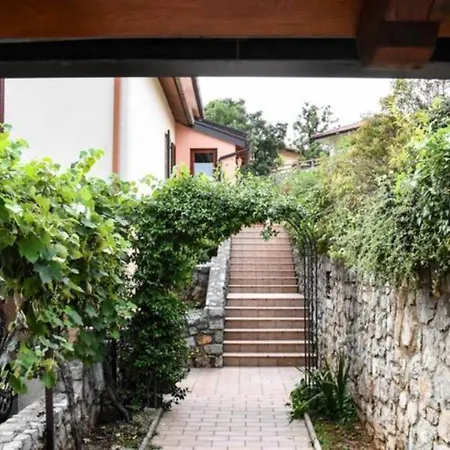 Cozy Under The Vine 아파트