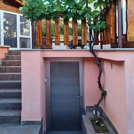 Cozy Under The Vine 아파트 *