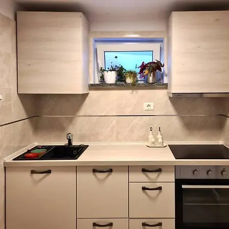 Apartman Cozy Under The Vine Sezana