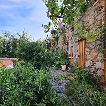Cozy Under The Vine 아파트