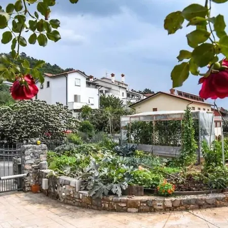 Cozy Under The Vine Sezana